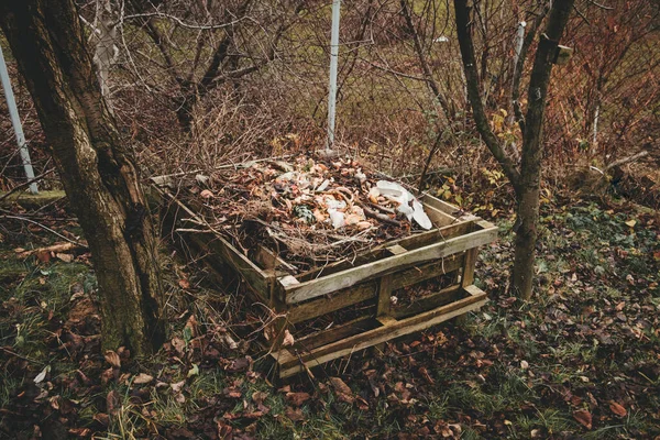 Kompostownik Paletowy Resztek Ogrodowych Jesienią Sezonie — Zdjęcie stockowe