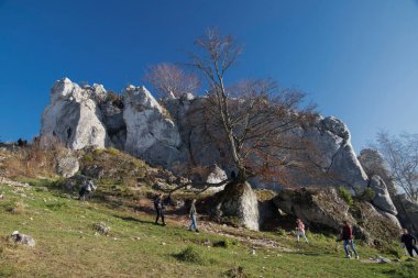 Podlesice, Silezya Voyvoda, Polonya 'da kireçtaşı kayaları. Upland Krakow-Czestochowa.