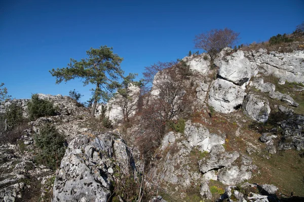 Limestone Rocks Podlesice Silesian Voivodeship Poland Upland Krakow Czestochowa — Stock Photo, Image