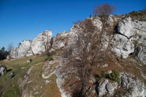 Limestone Rocks Podlesice Silesian Voivodeship Poland Upland Krakow Czestochowa — Stock Photo, Image