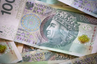 Polonya parası, 100 zloti. İş geçmişi. Polonya Para Birimi