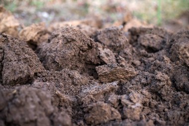 Bahçede taze toprak