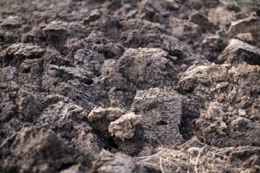 Bahçede taze toprak