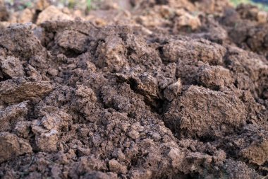 Bahçede taze toprak