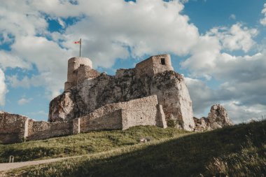 Rabsztyn 'deki ortaçağ şatosunun kalıntıları. Czestochowa Upland, Polonya.
