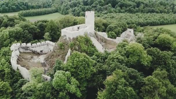 Ruins Medieval Castle Pilcza Smolen Cracow Czestochowa Upland Poland Drone — Stock Video