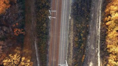 Sonbahar ormanı boyunca demiryolunun havadan görünüşü. Demiryolu insansız hava aracı görüntülerini taşıyor