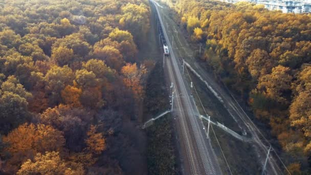 Letecký Pohled Prázdný Nákladní Vlak Projíždějící Podzimním Lesem — Stock video