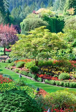 butchart gardens, orta saanich, İngiliz süt batık Bahçe