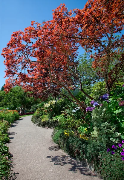 Chodník na butchart gardens, centrální saanish, bc, Kanada — Stock fotografie