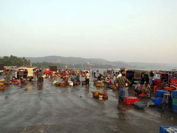 Fish Market in India — Stock Photo, Image