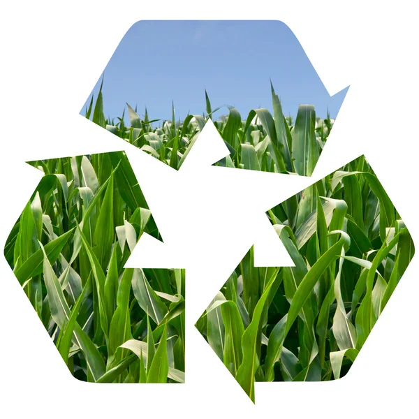トウモロコシ畑のリサイクル シンボル — ストック写真
