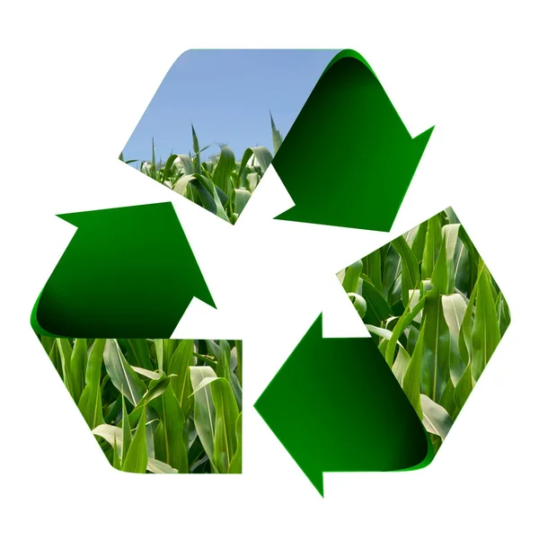 Recycle Symbol of a Field of Corn — Stock Photo, Image