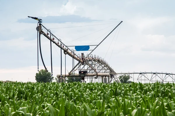 Center pivot bevattningssystem i majsfält — Stockfoto