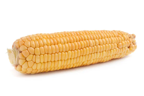 Corn in cob — Stock Photo, Image