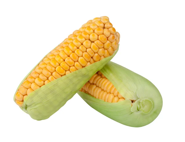 Corn in cob — Stock Photo, Image