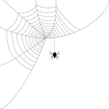 Spider web clipart