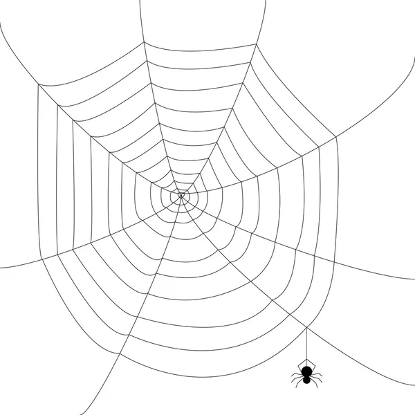 Edderkoppespind – Stock-vektor