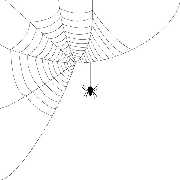 Red de araña — Vector de stock