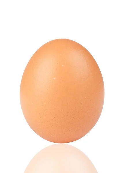 Uovo su sfondo bianco — Foto Stock