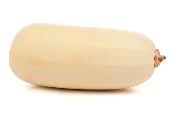 Verse courgette — Stockfoto