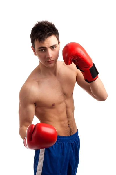 Portrait of boxer — Stock Photo, Image