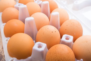 Kahverengi tavuk yumurta