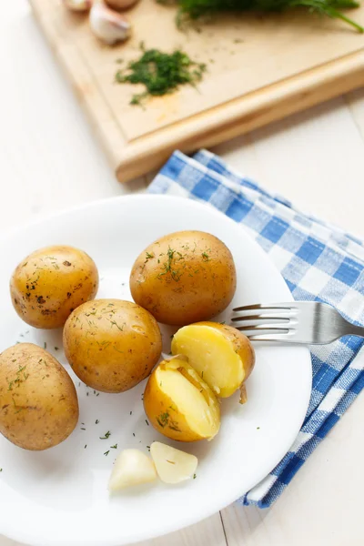 Unga kokt potatis med dill — Stockfoto