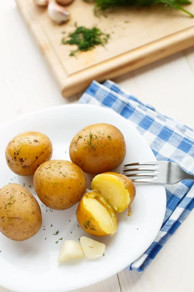 Batatas fervidas jovens com endro — Fotografia de Stock