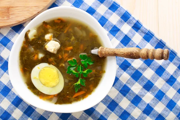 Läcker soppa med ängssyra — Stockfoto