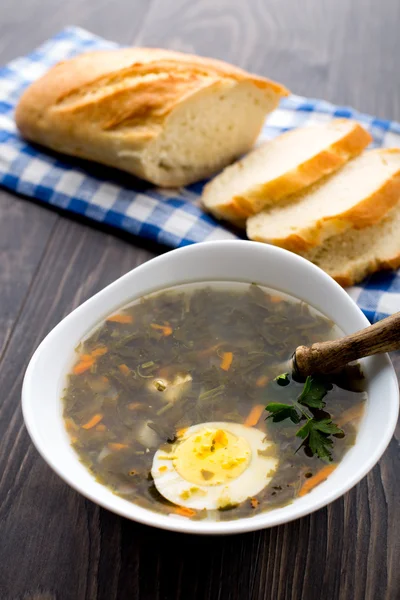Sopa deliciosa com azeda — Fotografia de Stock