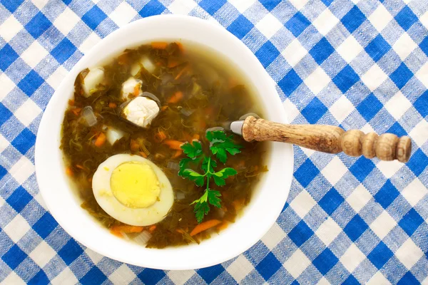 Delicious soup with sorrel — Stock Photo, Image