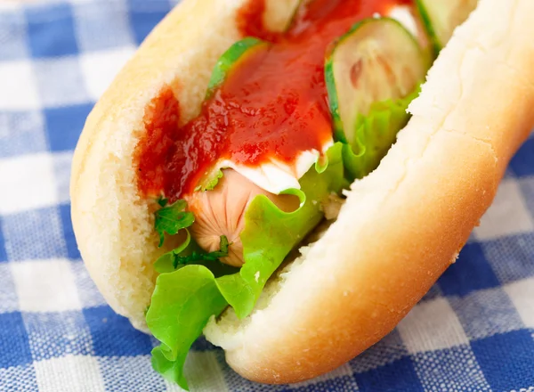 Varmkorv med ketchup och gurka — Stockfoto