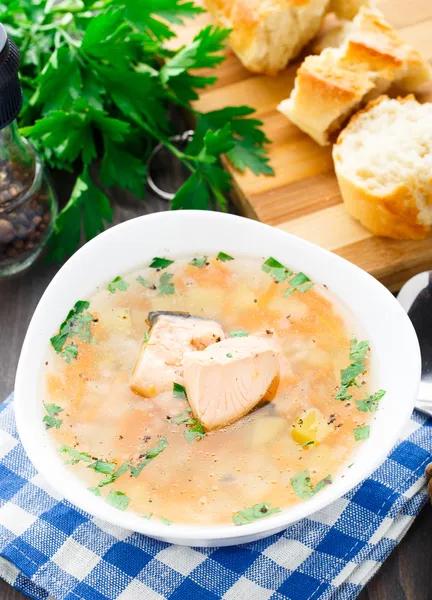 Healthy fish soup made of salmon — Stock Photo, Image