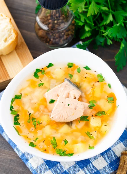 Healthy fish soup made of salmon — Stock Photo, Image