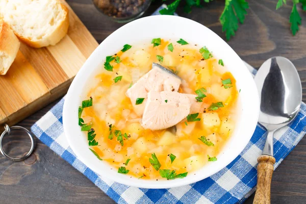 Healthy fish soup made of salmon — Stock Photo, Image