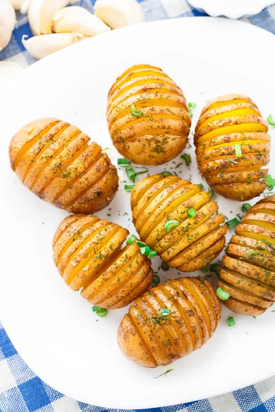 Akordeon pieczone ziemniaki — Zdjęcie stockowe