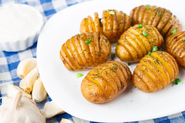 Accordion baked potatoes — Stock Photo, Image