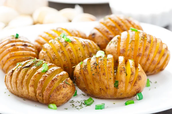 Akordeon, pečené brambory — Stock fotografie