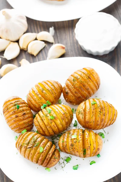 Akordeon, pečené brambory — Stock fotografie