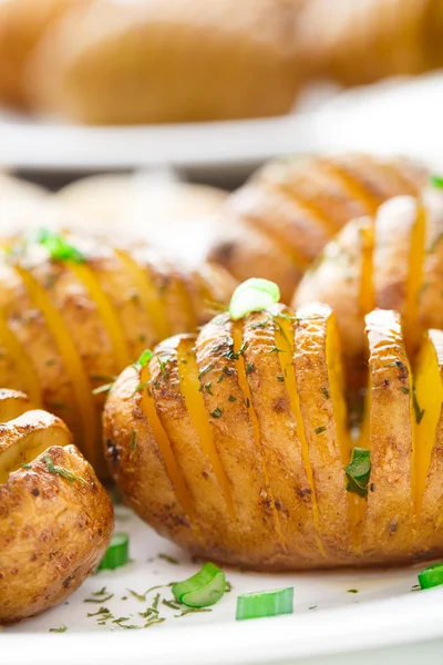 Accordeon gebakken aardappelen — Stockfoto
