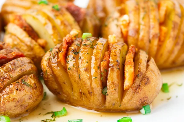 Akordeon, pečené brambory se slaninou — Stock fotografie