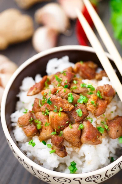 Miska ryżu z mięsem — Zdjęcie stockowe