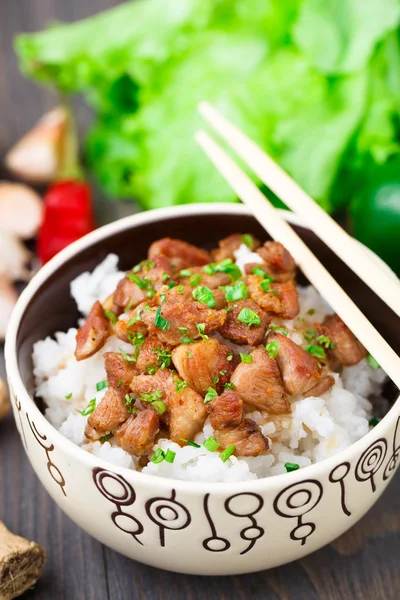 Чаша риса с мясом — стоковое фото