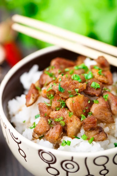 Ciotola di riso con carne — Foto Stock