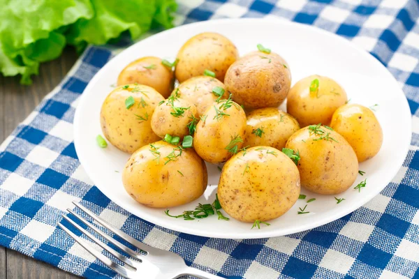 Potatis med dill och scalliom — Stockfoto