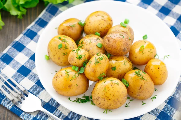 Ziemniaki z koperkiem i scalliom — Zdjęcie stockowe