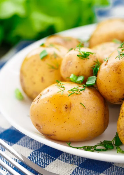 Potato with dill and scalliom — Stock Photo, Image