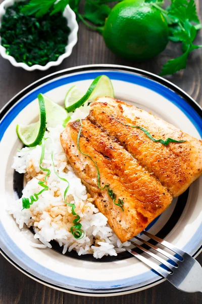 Salmón al horno con arroz —  Fotos de Stock