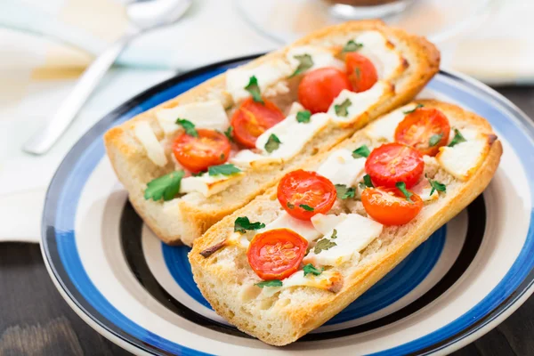 Baguette sandwich — Stock Photo, Image